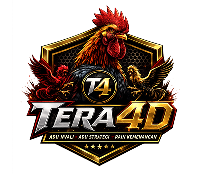 Tera4D
